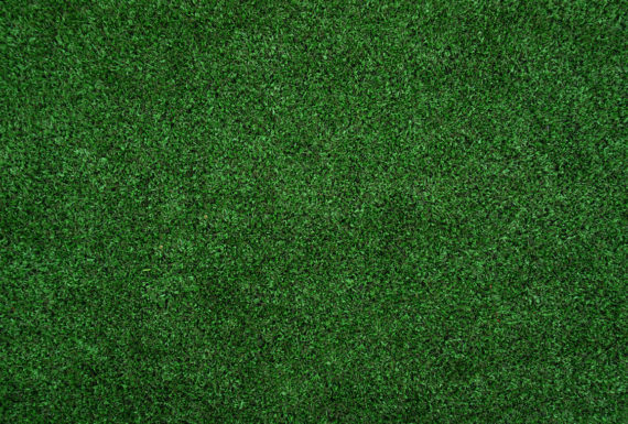 Artificial Turf System